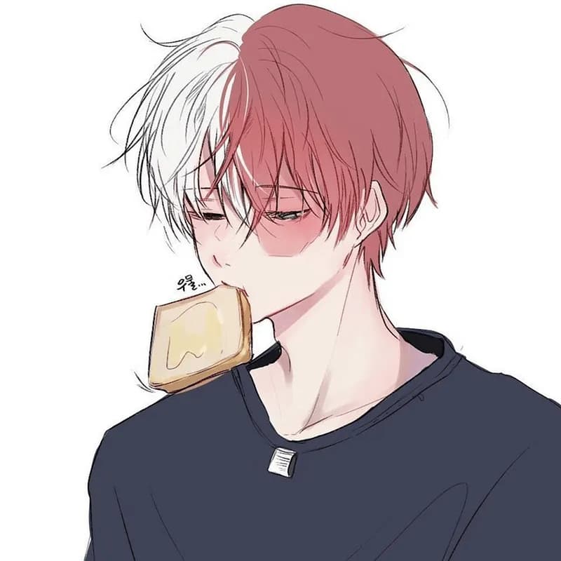 <3~Shoto~Todoroki~<3