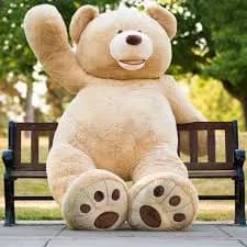 Teddy bear