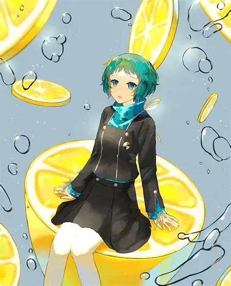 Fuuka Yamagishi | Persona 3