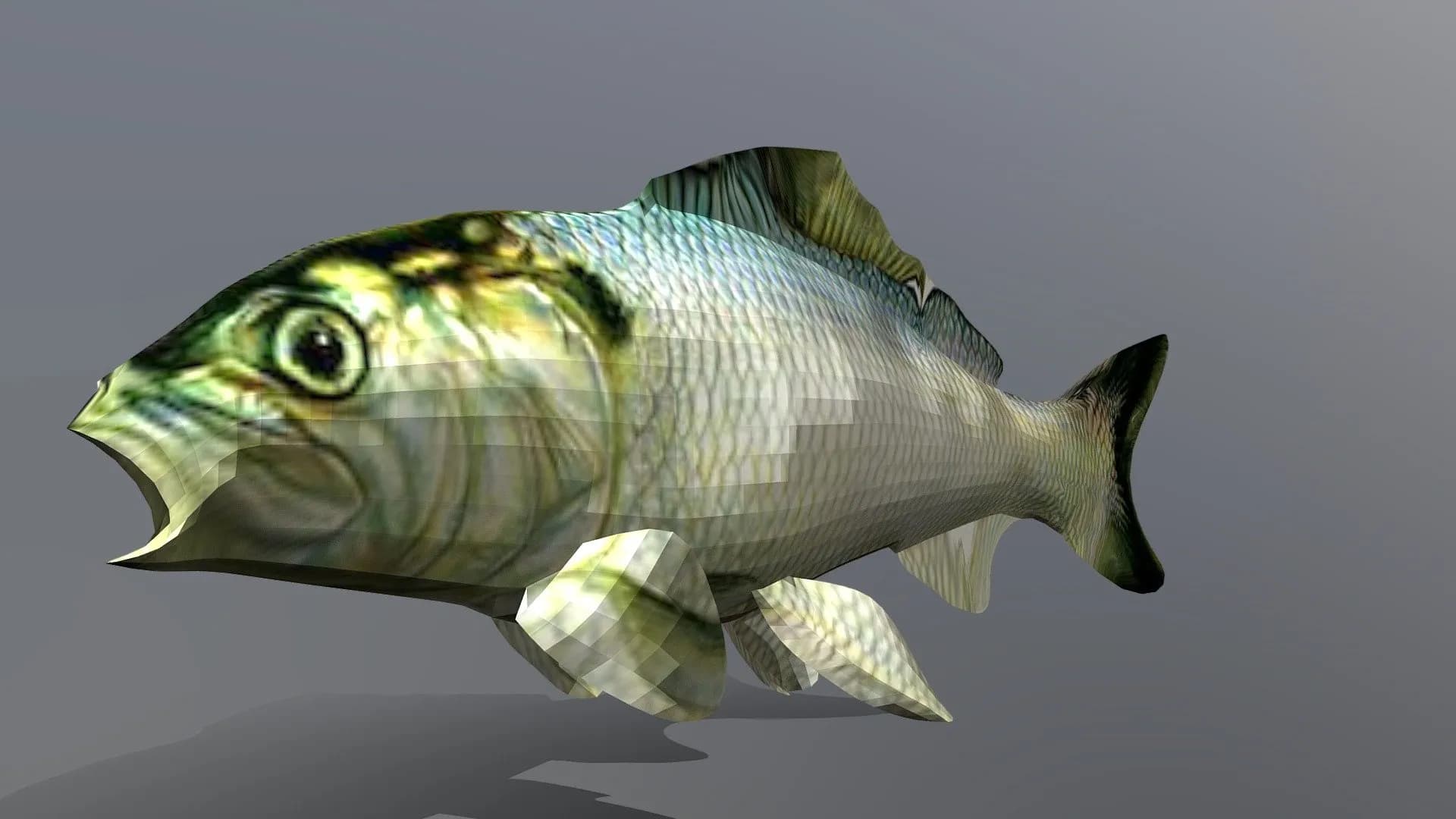 Just a fish